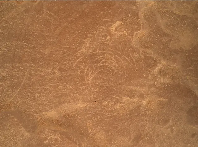 Sol 4791: Mars Hand Lens Imager (MAHLI)