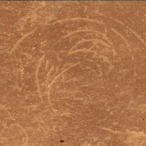 Sol 4791: Mars Hand Lens Imager (MAHLI)