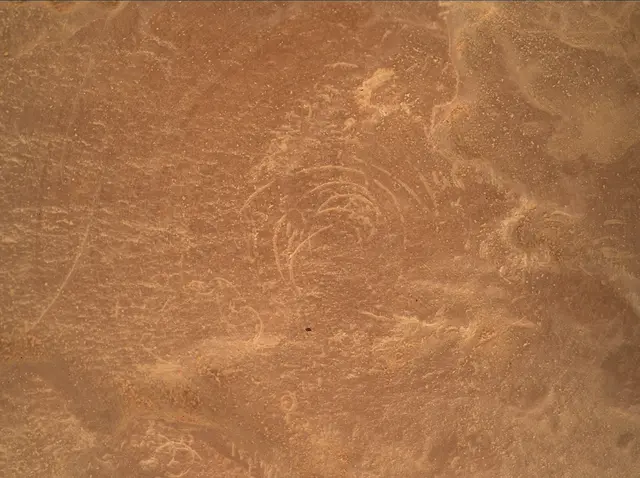 Sol 4791: Mars Hand Lens Imager (MAHLI)
