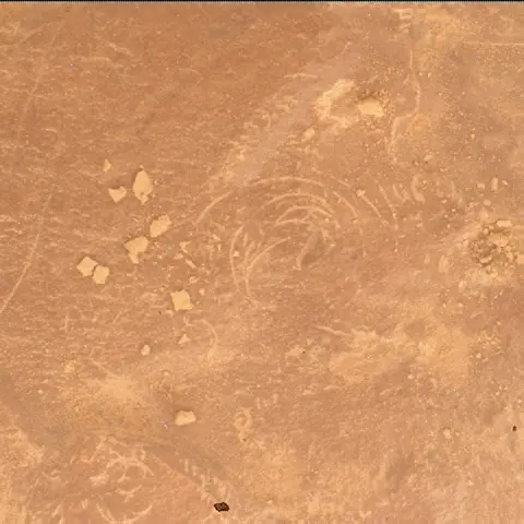 Sol 4791: Mars Hand Lens Imager (MAHLI)