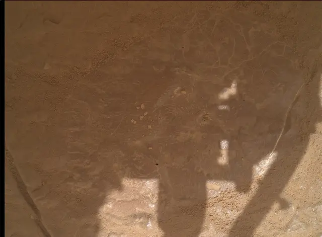 Sol 4791: Mars Hand Lens Imager (MAHLI)