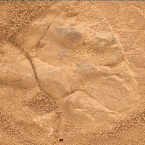 Sol 4809: Mars Hand Lens Imager (MAHLI)