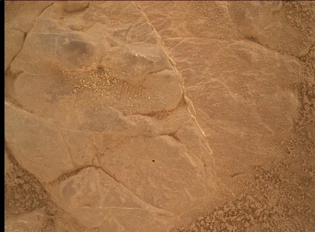 Sol 4809: Mars Hand Lens Imager (MAHLI)