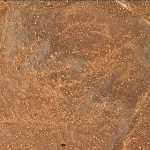 Sol 4809: Mars Hand Lens Imager (MAHLI)