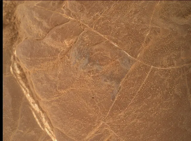 Sol 4809: Mars Hand Lens Imager (MAHLI)