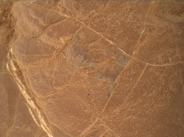 Sol 4809: Mars Hand Lens Imager (MAHLI)