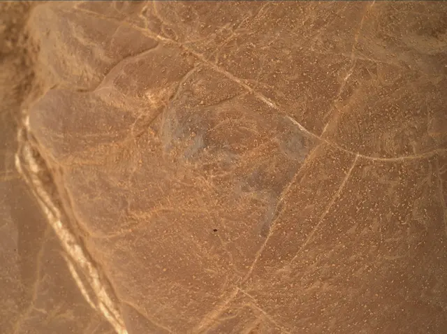 Sol 4809: Mars Hand Lens Imager (MAHLI)