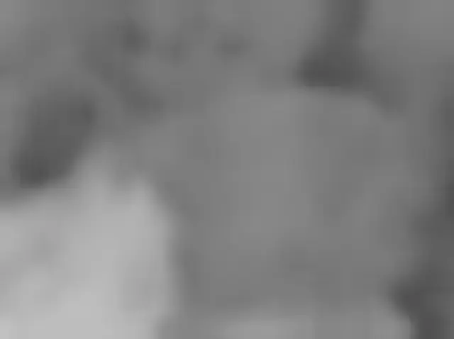 Sol 4816: Mars Hand Lens Imager (MAHLI)