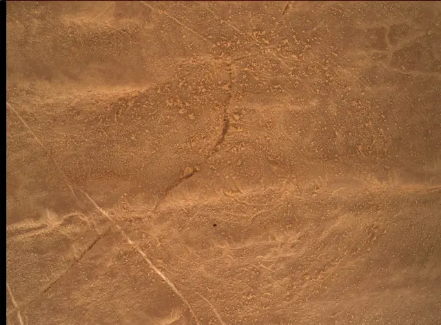 Sol 4818: Mars Hand Lens Imager (MAHLI)