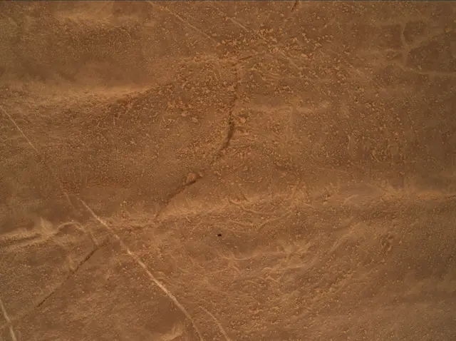 Sol 4818: Mars Hand Lens Imager (MAHLI)