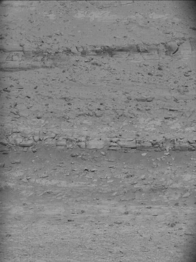 Sol 4821: Mast Camera (Mastcam)