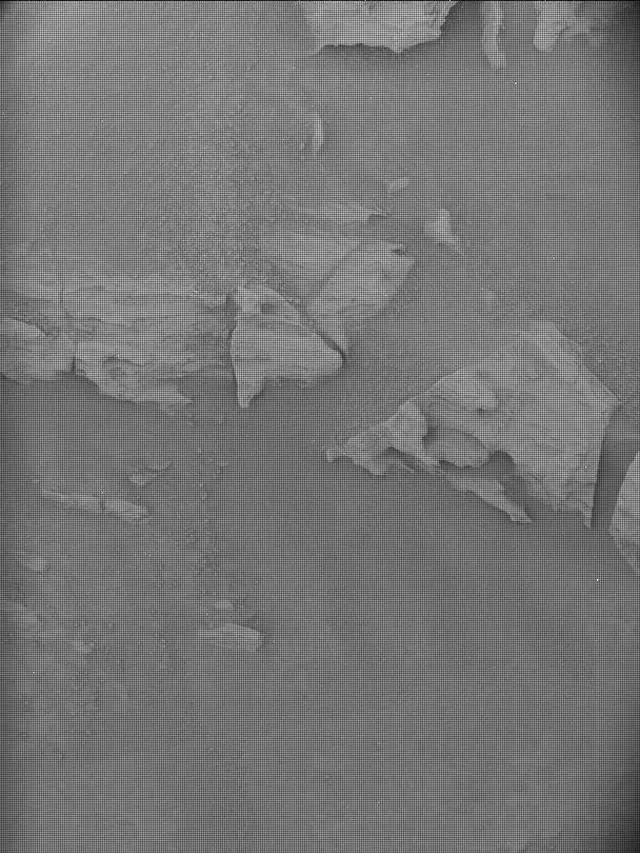 Sol 4821: Mast Camera (Mastcam)