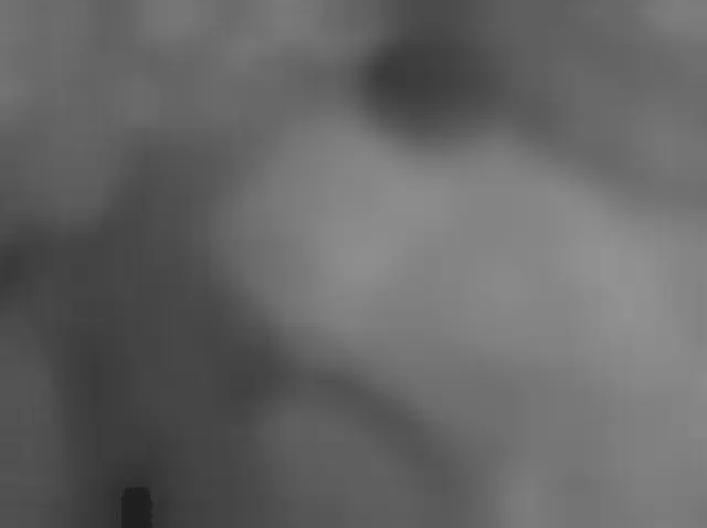 Sol 4827: Mars Hand Lens Imager (MAHLI)