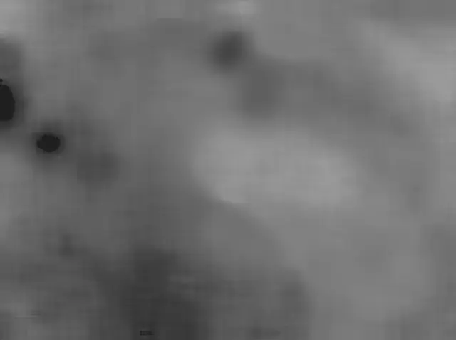 Sol 4827: Mars Hand Lens Imager (MAHLI)