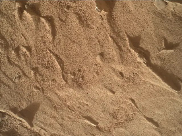 Sol 4829: Mars Hand Lens Imager (MAHLI)