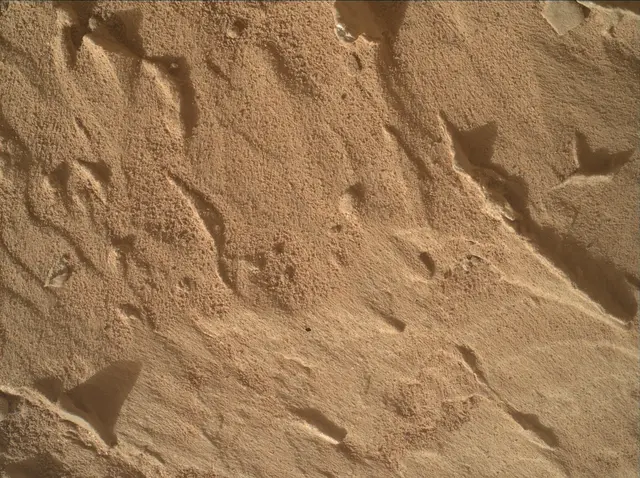 Sol 4830: Mars Hand Lens Imager (MAHLI)