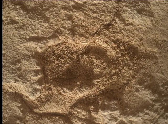 Sol 4833: Mars Hand Lens Imager (MAHLI)