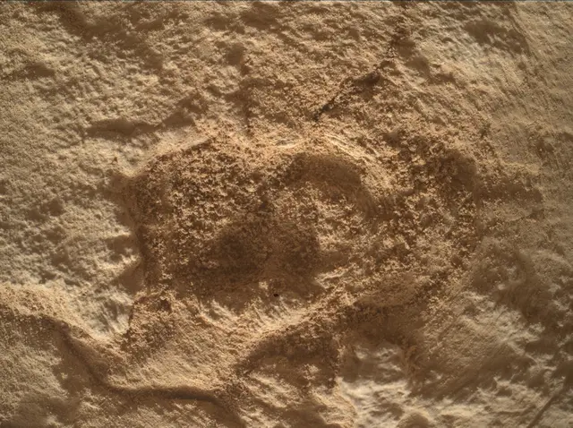 Sol 4833: Mars Hand Lens Imager (MAHLI)