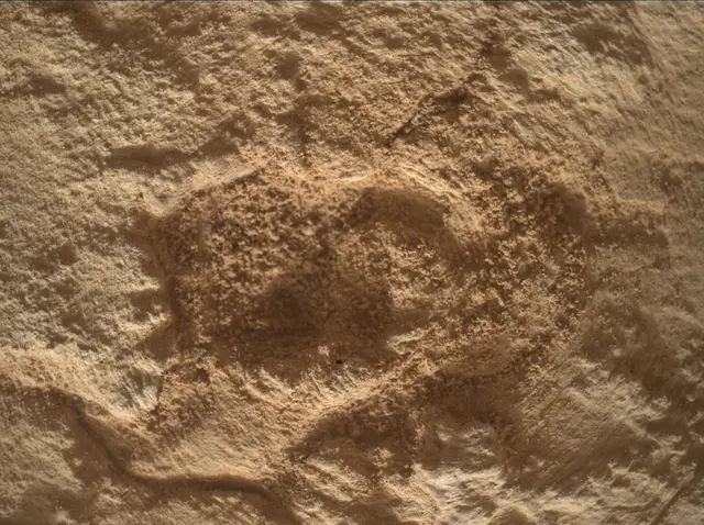 Sol 4833: Mars Hand Lens Imager (MAHLI)