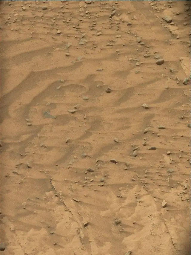 Sol 4837: Mast Camera (Mastcam)