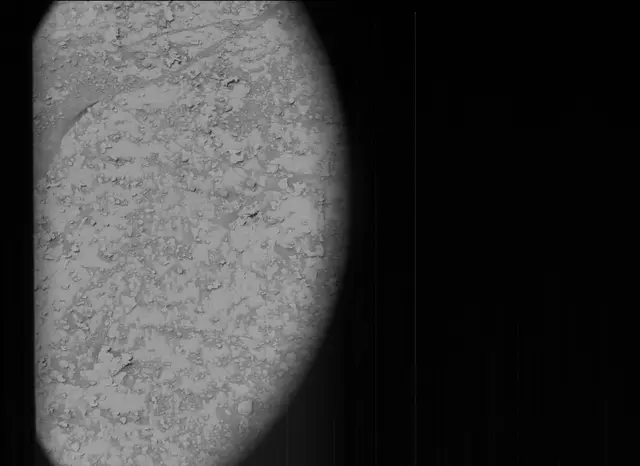 Sol 4837: Mast Camera (Mastcam)