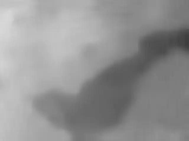 Sol 4837: Mars Hand Lens Imager (MAHLI)