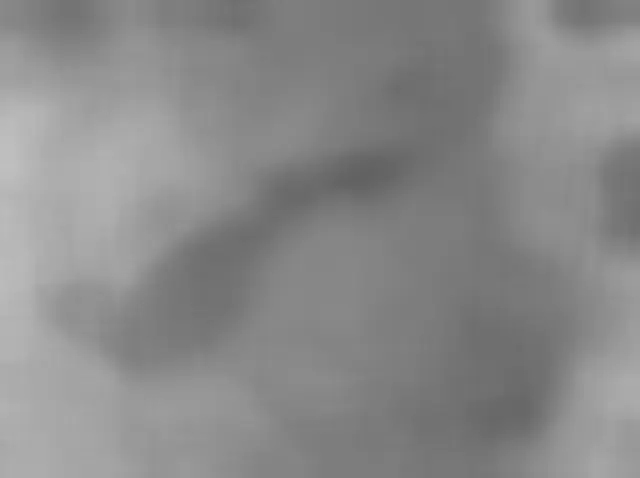 Sol 4837: Mars Hand Lens Imager (MAHLI)