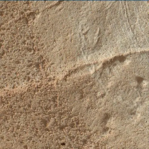 Sol 4838: Mars Hand Lens Imager (MAHLI)
