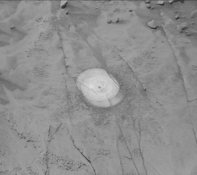 Sol 4839: Mast Camera (Mastcam)