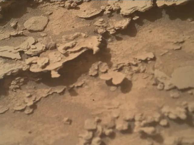 Sol 4840: Mars Hand Lens Imager (MAHLI)
