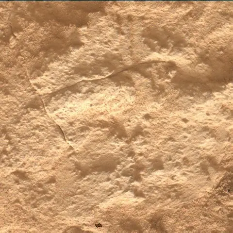 Sol 4854: Mars Hand Lens Imager (MAHLI)