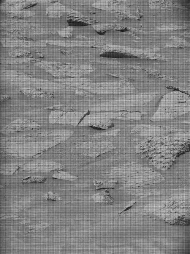 Sol 4855: Mast Camera (Mastcam)
