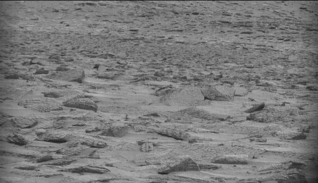 Sol 4859: Mast Camera (Mastcam)
