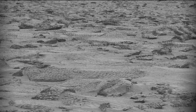 Sol 4859: Mast Camera (Mastcam)