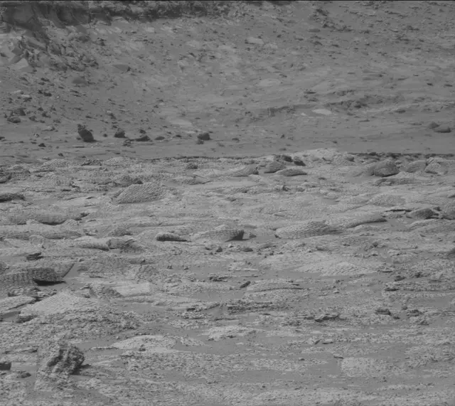 Sol 4860: Mast Camera (Mastcam)