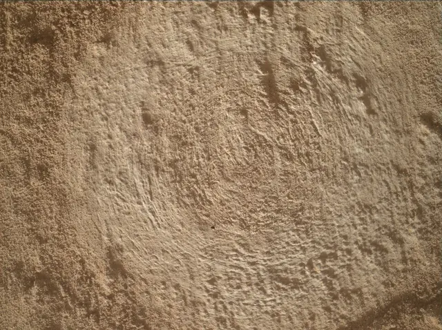 Sol 4861: Mars Hand Lens Imager (MAHLI)