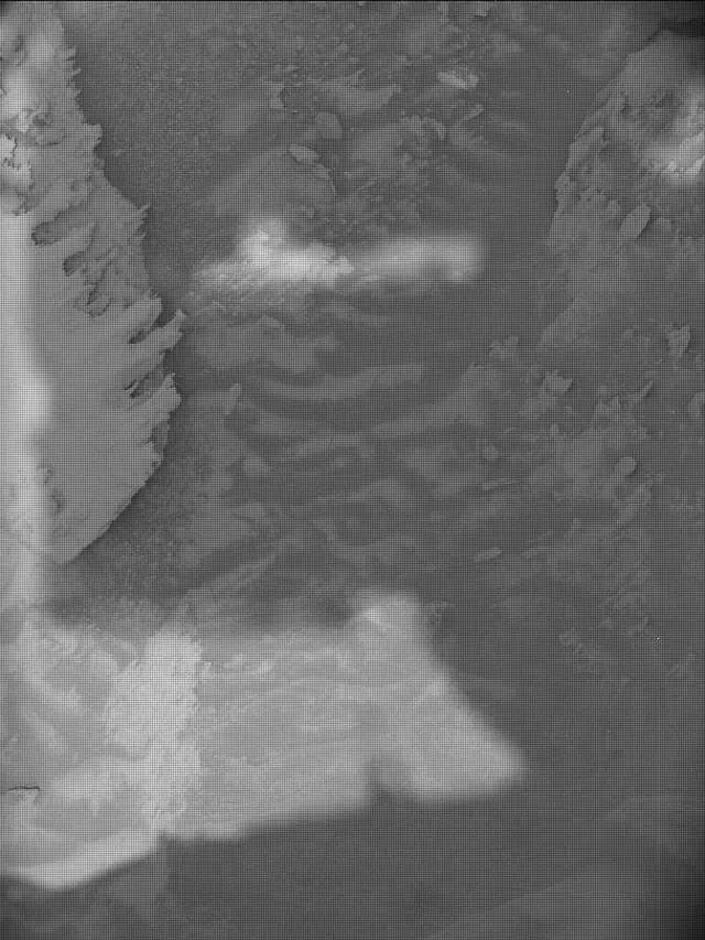 Sol 4864: Mast Camera (Mastcam)