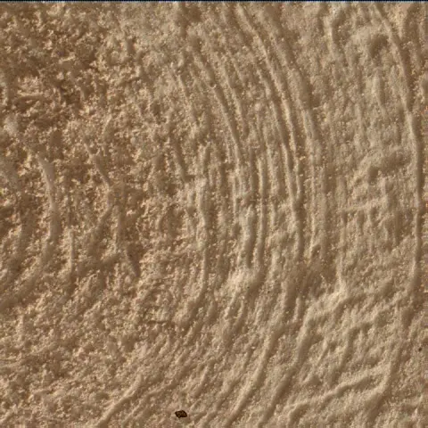 Sol 4864: Mars Hand Lens Imager (MAHLI)