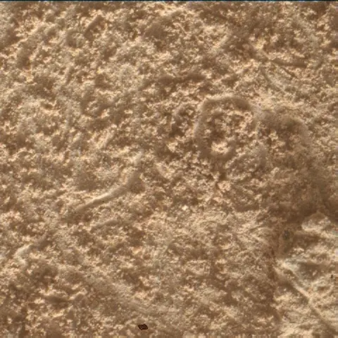 Sol 4864: Mars Hand Lens Imager (MAHLI)