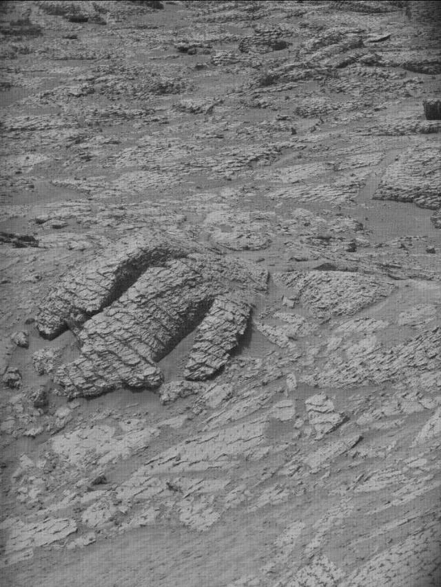 Sol 4865: Mast Camera (Mastcam)