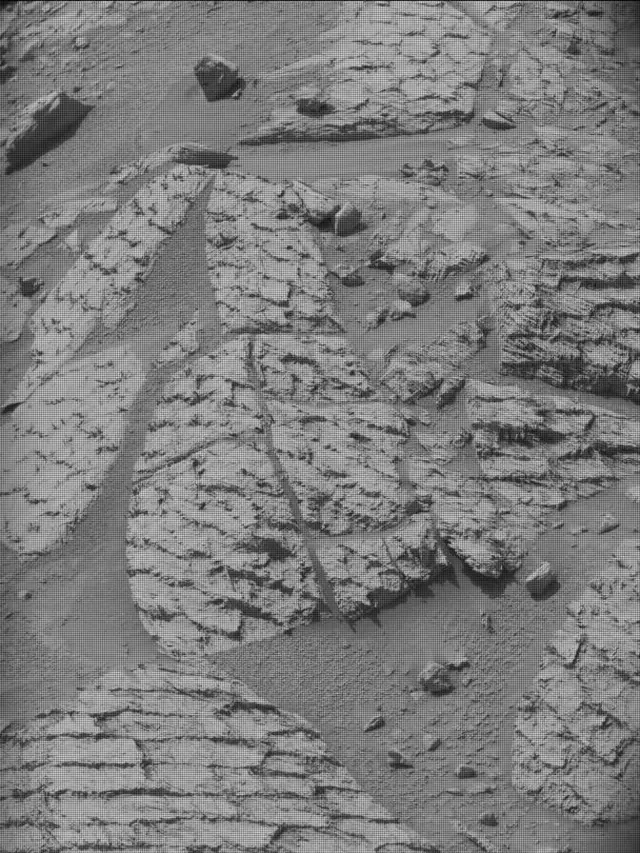 Sol 4867: Mast Camera (Mastcam)