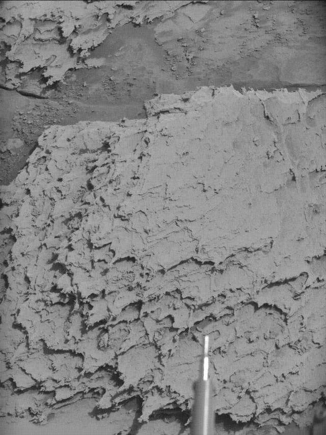 Sol 4868: Mast Camera (Mastcam)