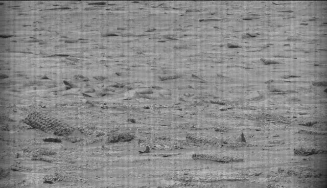 Sol 4870: Mast Camera (Mastcam)