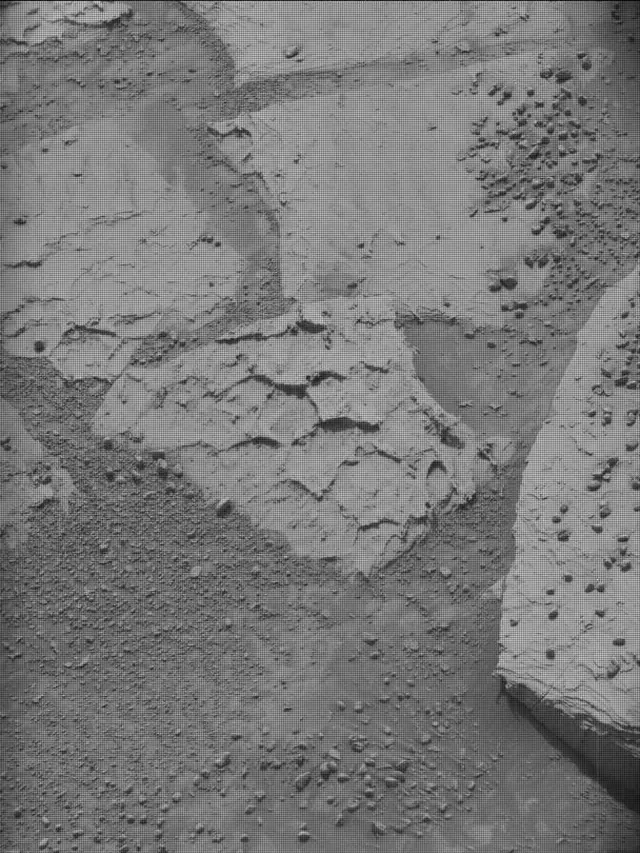 Sol 4872: Mast Camera (Mastcam)