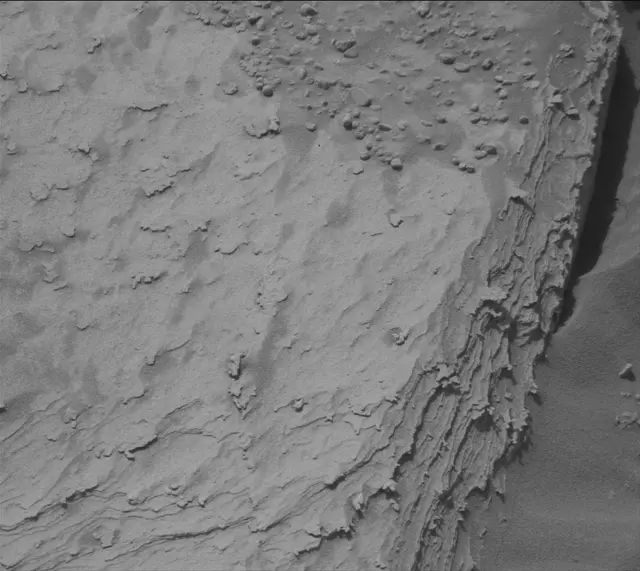 Sol 4873: Mast Camera (Mastcam)