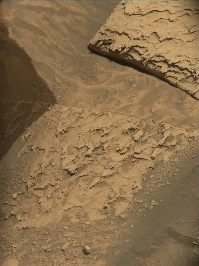 Sol 4881: Mast Camera (Mastcam)