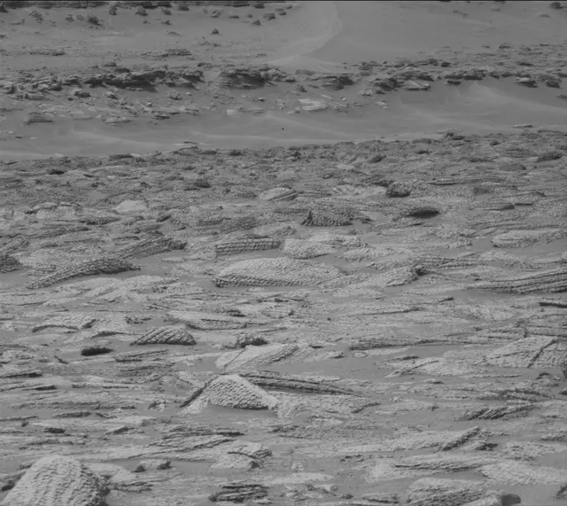 Sol 4882: Mast Camera (Mastcam)