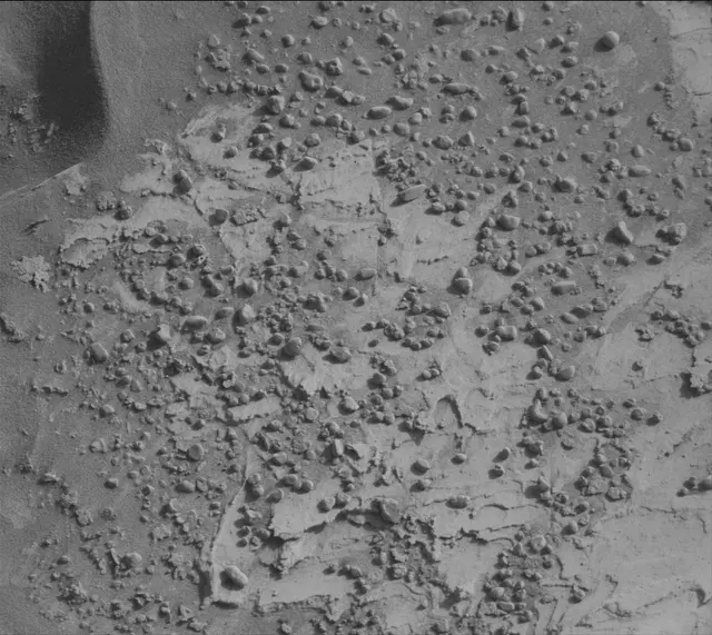 Sol 4885: Mast Camera (Mastcam)