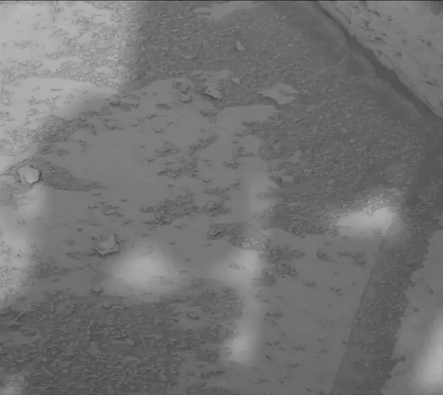 Sol 4887: Mast Camera (Mastcam)