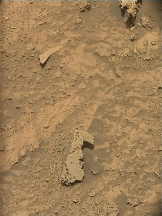 Sol 4889: Mast Camera (Mastcam)